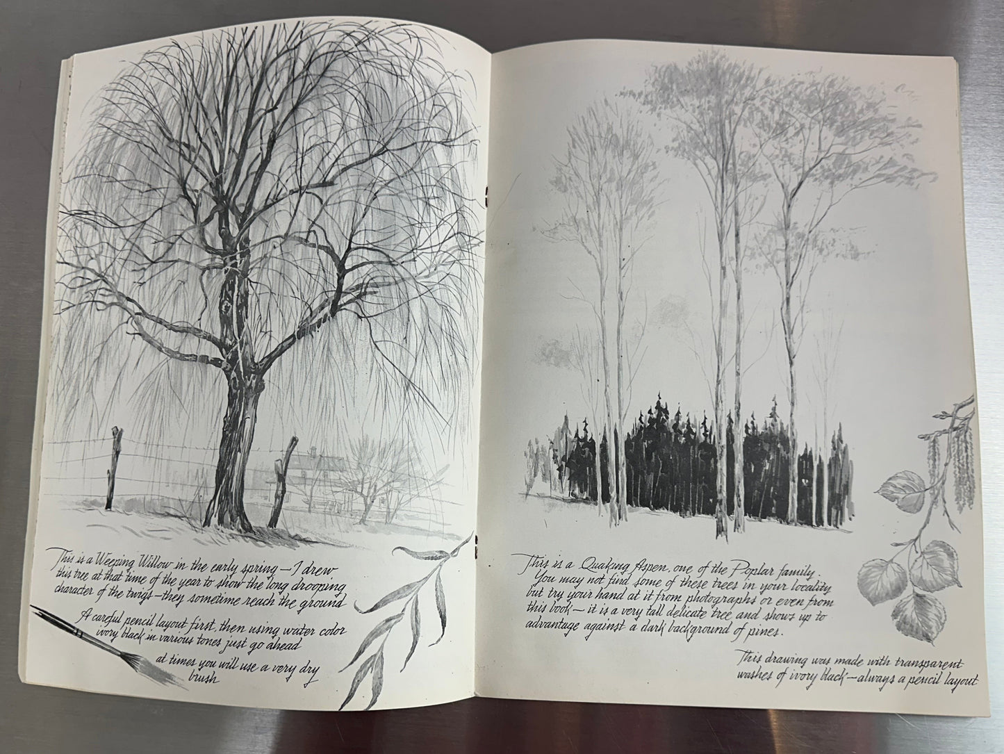 More by Frederick Garner Trees Drawing Art Vintage Softcover Book Foster Art
