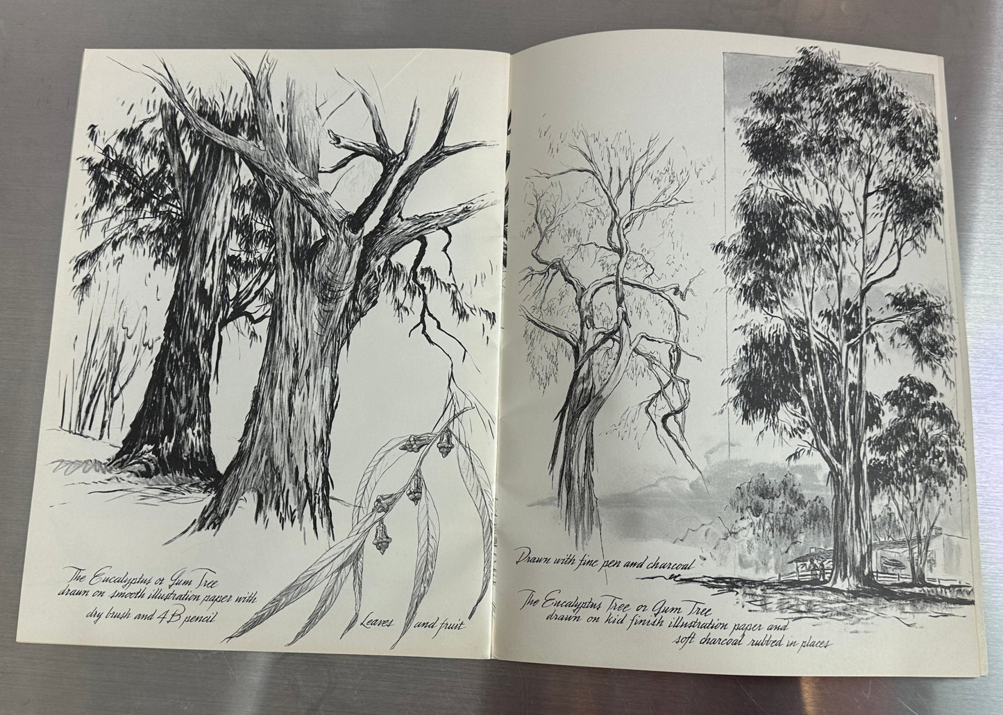More by Frederick Garner Trees Drawing Art Vintage Softcover Book Foster Art