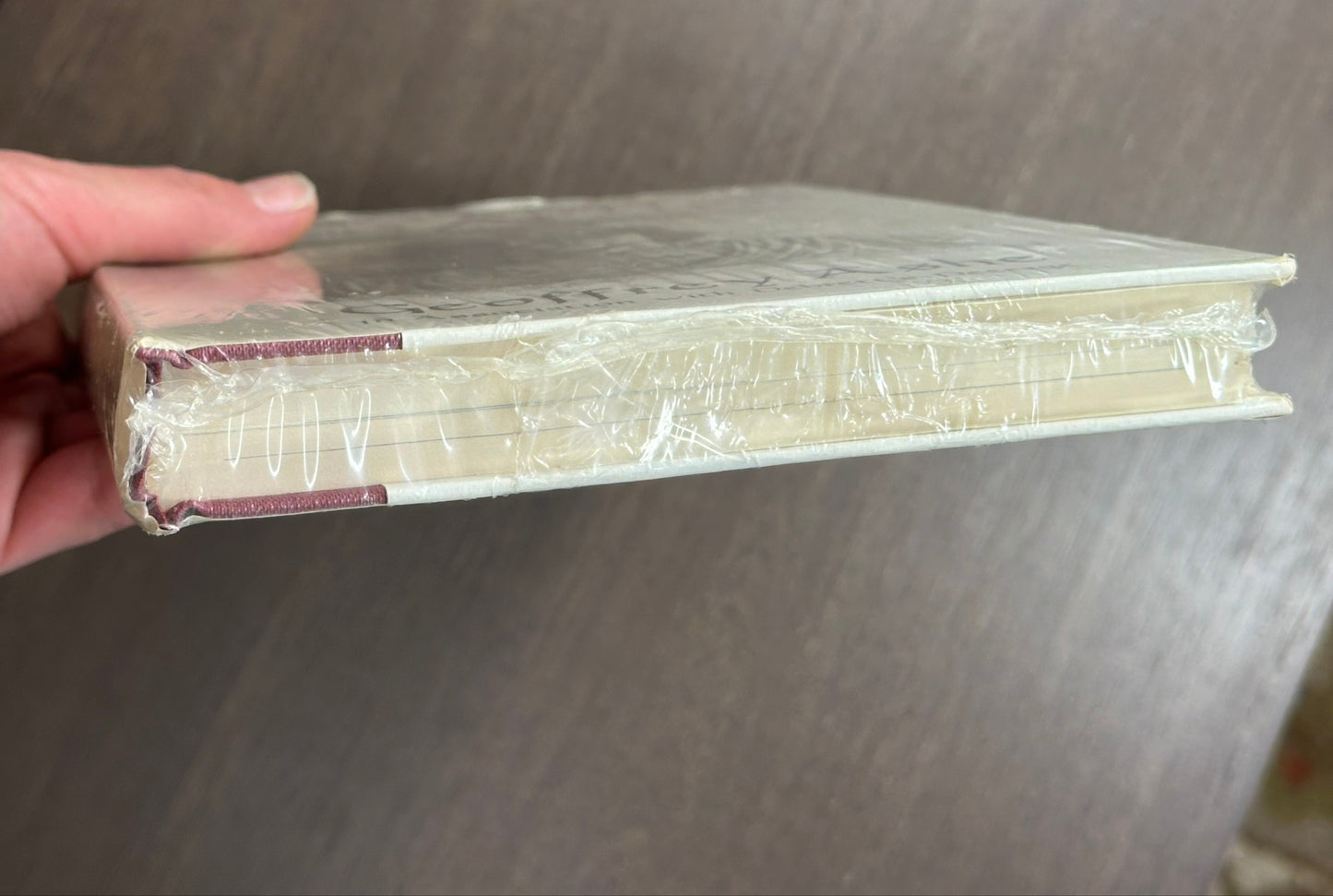 The Discovery Of King Arthur Geoffrey Ashe Paperback Still Sealed
