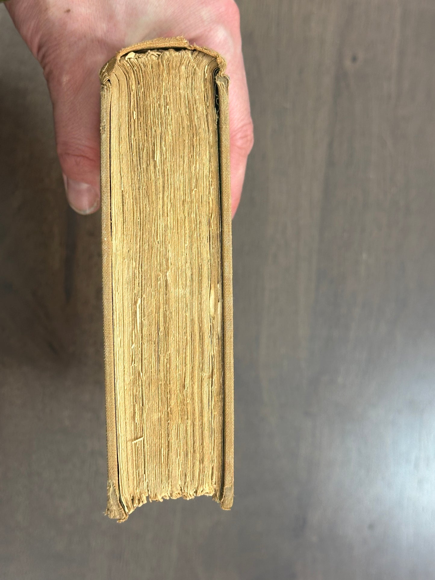 Antique 1931 The Good Earth by PEARL S. BUCK John Day