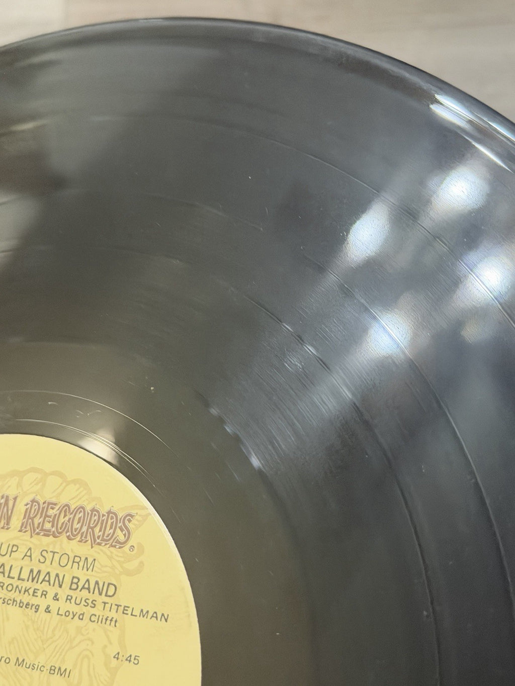 The Gregg Allman Band-Playin' Up A Storm-1977 CP 0181 (Winchester) Vinyl Record 