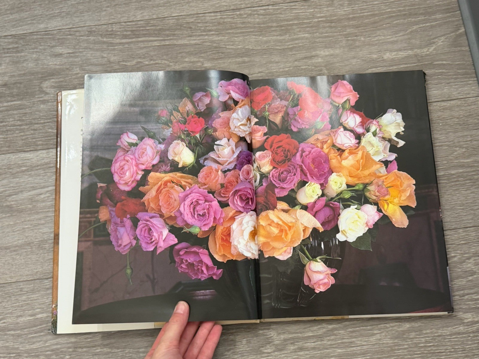 Gardening. Book, The Glory of Roses by christopher baker and allen lacy