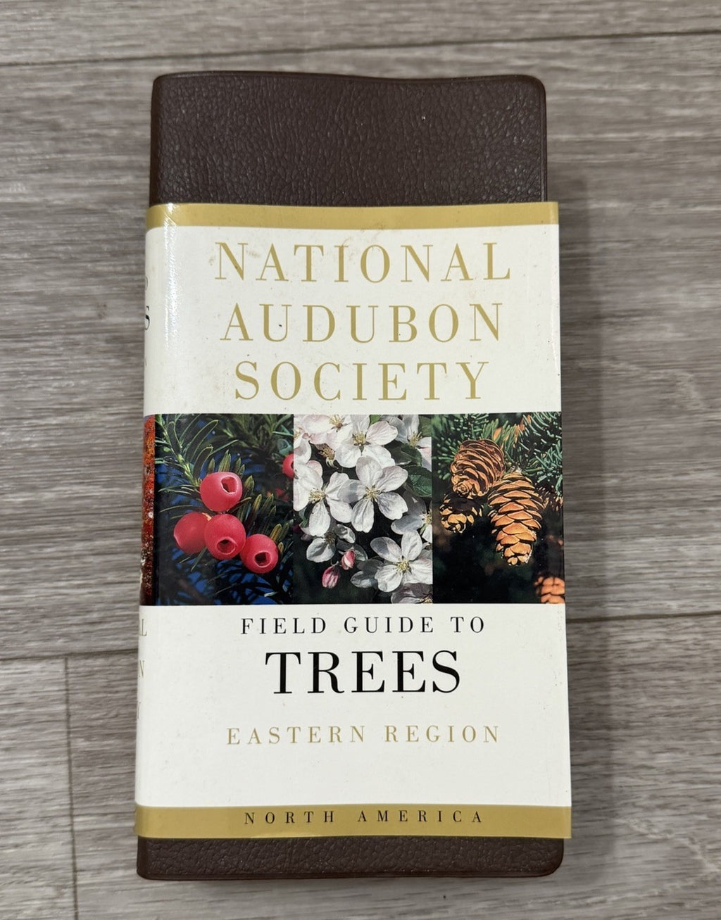 National Audubon Society Field Guide to Trees Eastern Region First Edition 1980