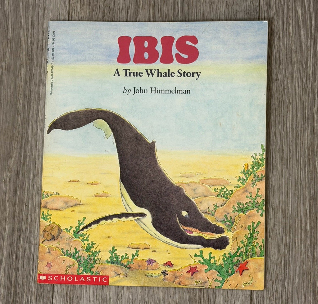 Ibis: A True Whale Story by Himmelman, John 0590428497 Paperback Book 1990 VTG