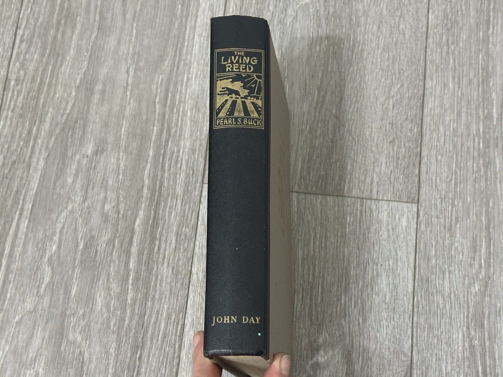 The Living Reed  by Pearl Buck, Hardcover, John Day publisher, 1963  