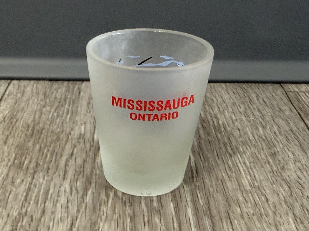 Mississuaga Ontario Canada Frosted Ducks Shot Glass