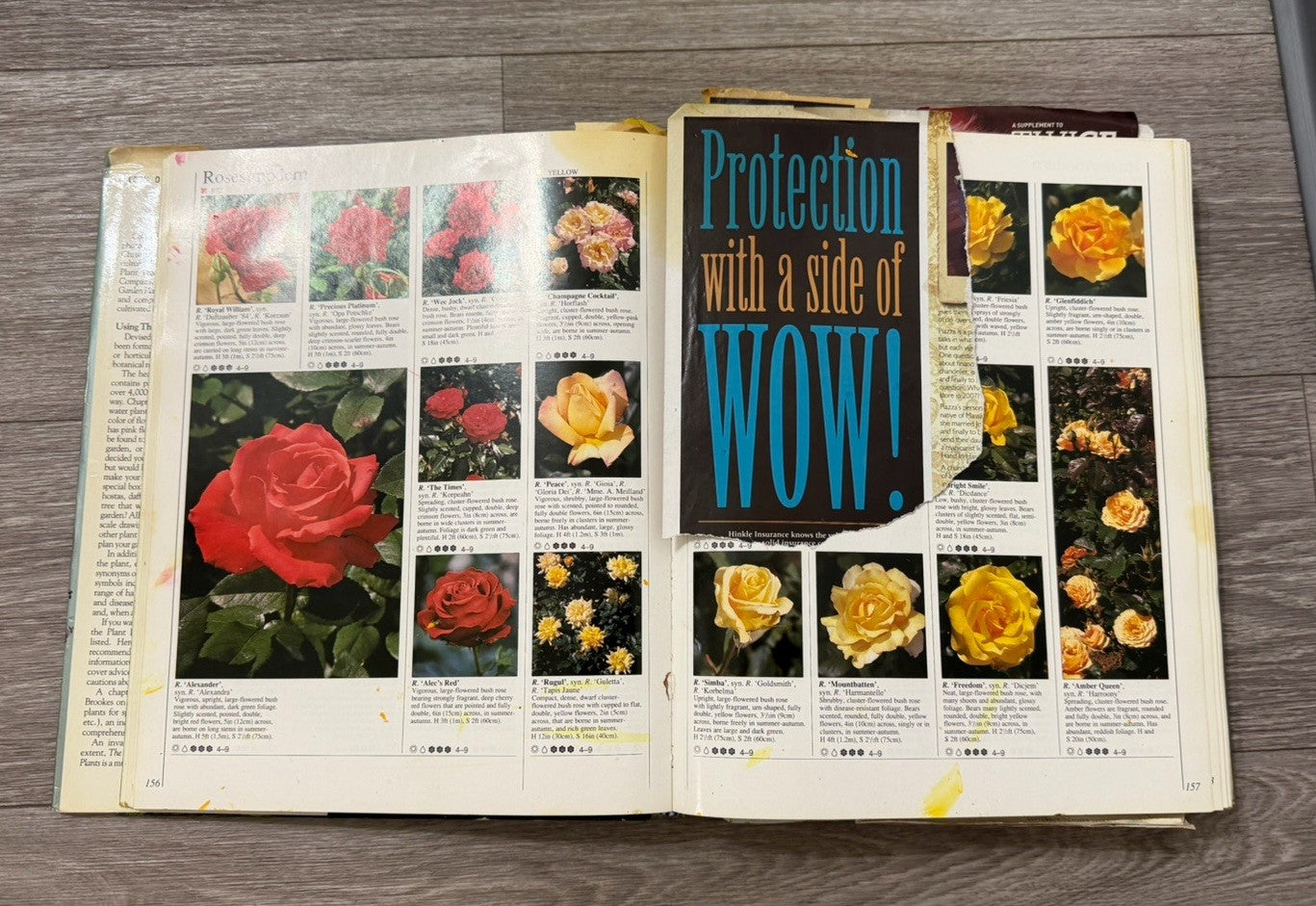 American Horticultural Society Encyclopedia 1989 Hardcover Dust Jacket Vintage