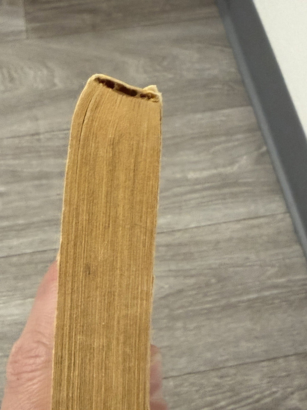 The Dog Who Wouldn't Be Mass Market Paperbound Farley Mowat
