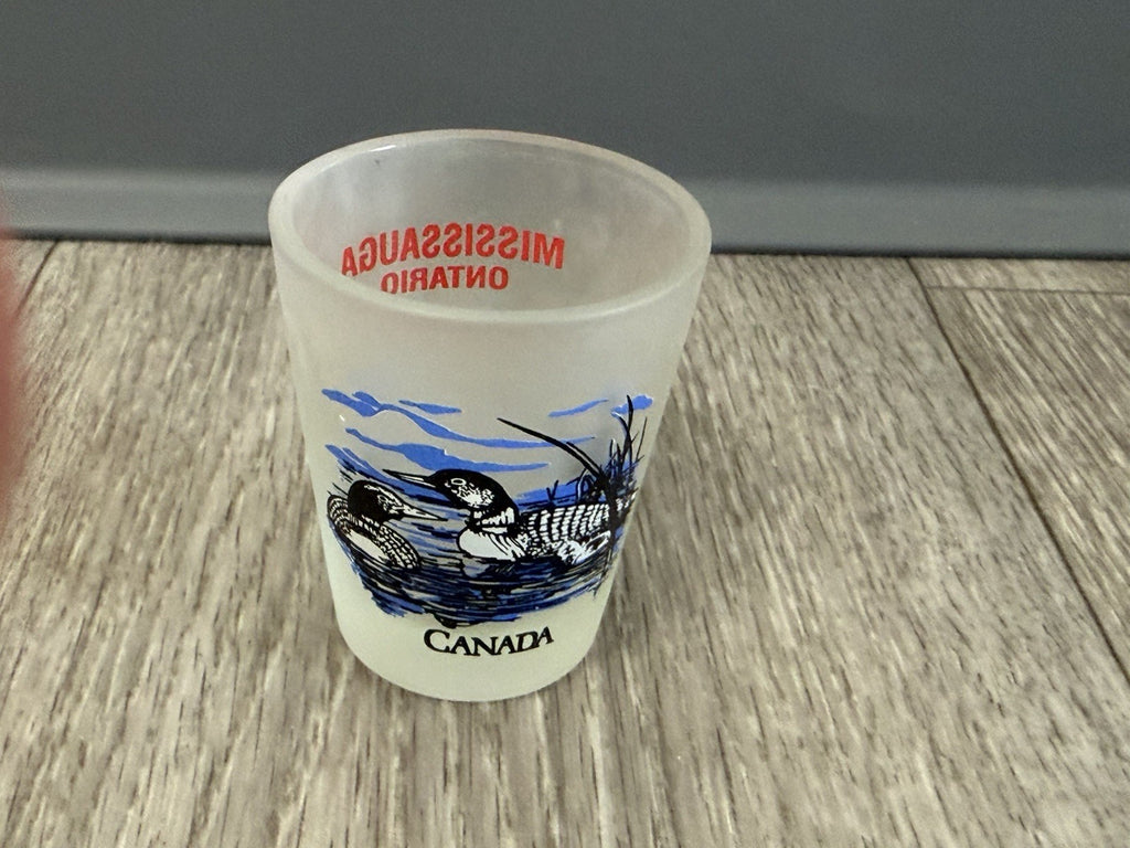 Mississuaga Ontario Canada Frosted Ducks Shot Glass