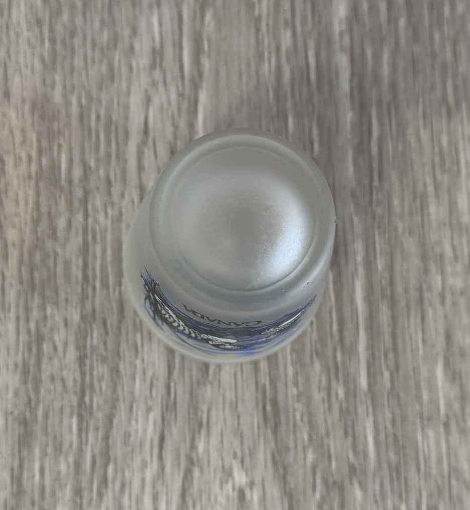 Mississuaga Ontario Canada Frosted Ducks Shot Glass