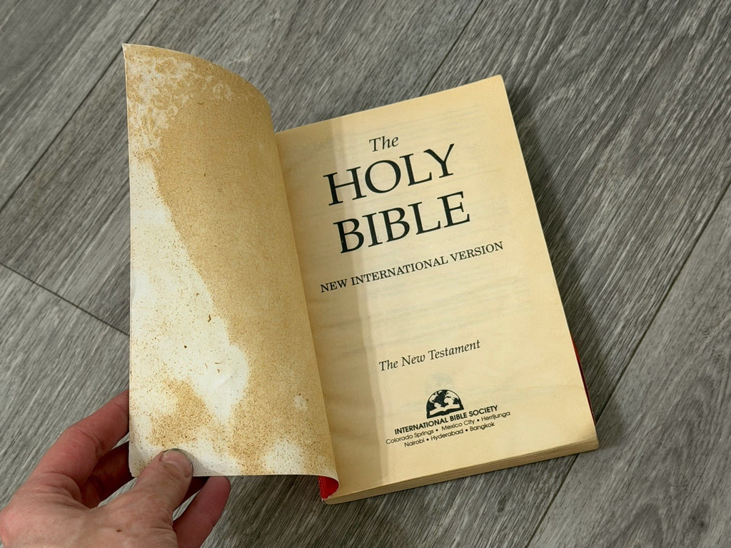 The Great News the New Testament NIV Paperback Book
