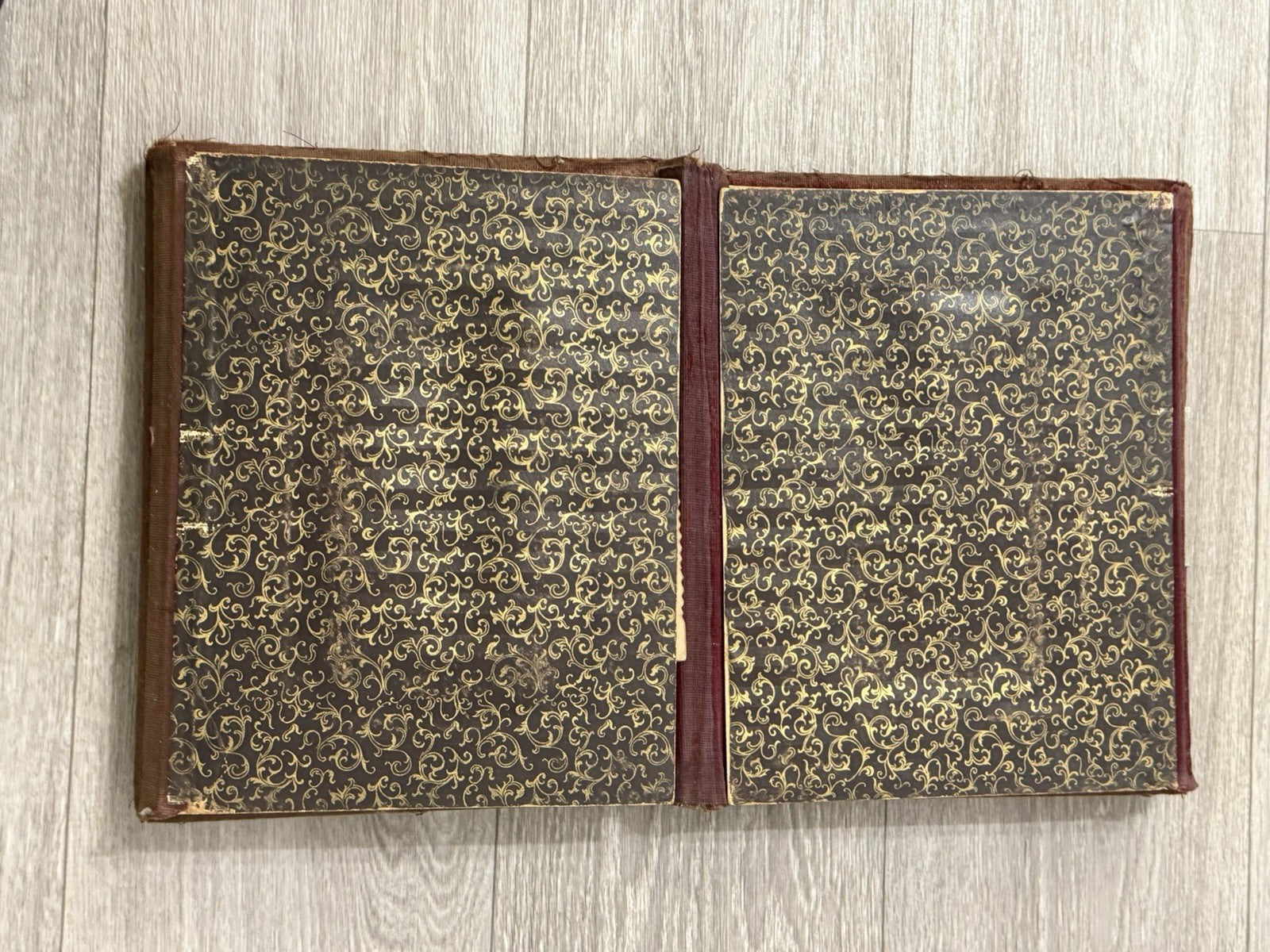 Antique Velvet Victorian Family Photo Album W/ Cabinet - Cards - Clasp - 1880’s