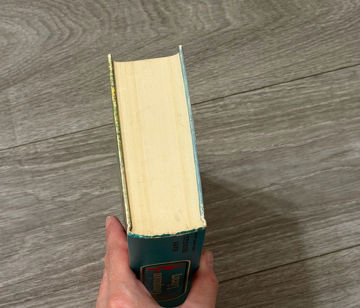 Vtg Heidi By Johanna Spyri & Hans Brinker By Mary Maples Dodge Hardcover Book