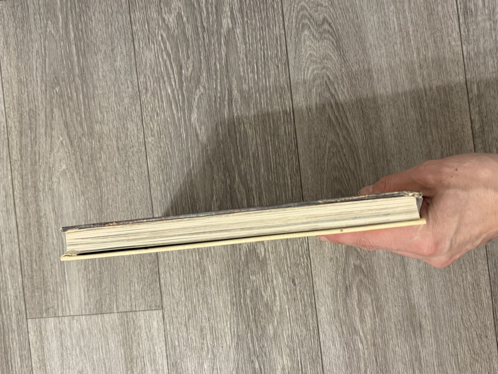 Vintage The Holy Land In The Time Of Jesus Hardcover Book