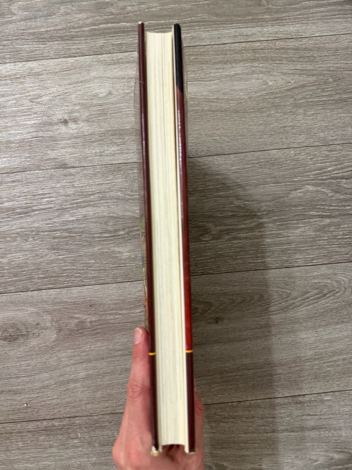 The WAR OF THE ROSES HARDCOVER - GOOD