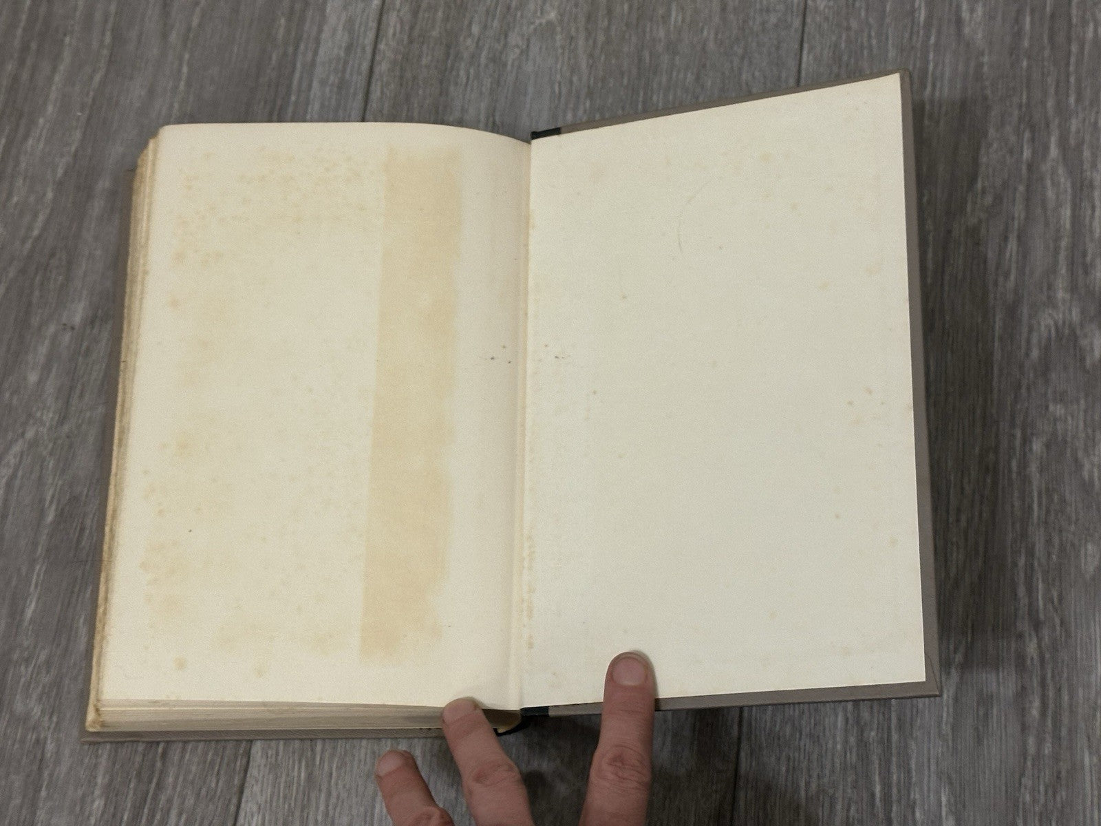 The Living Reed  by Pearl Buck, Hardcover, John Day publisher, 1963  