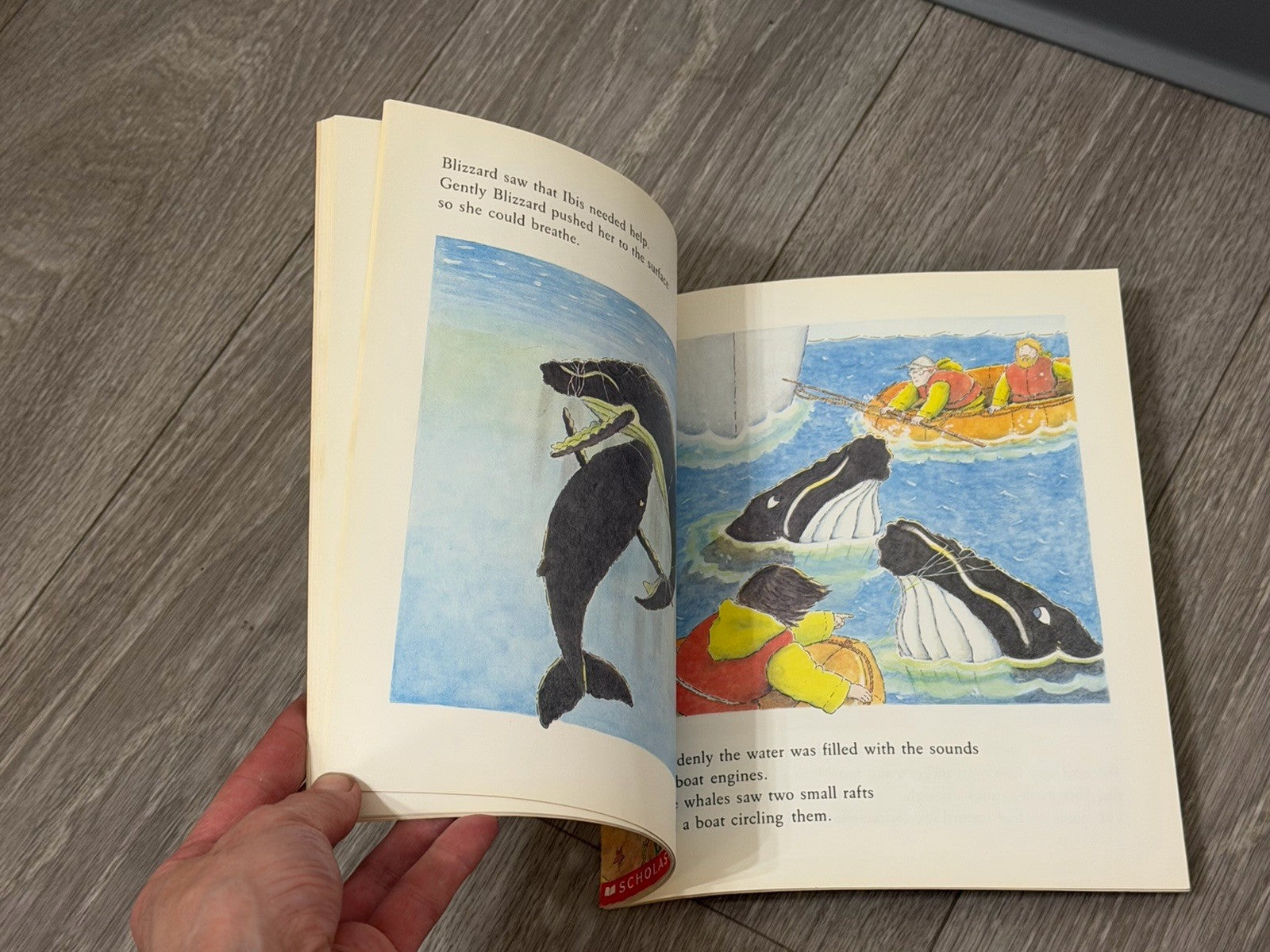 Ibis: A True Whale Story by Himmelman, John 0590428497 Paperback Book 1990 VTG