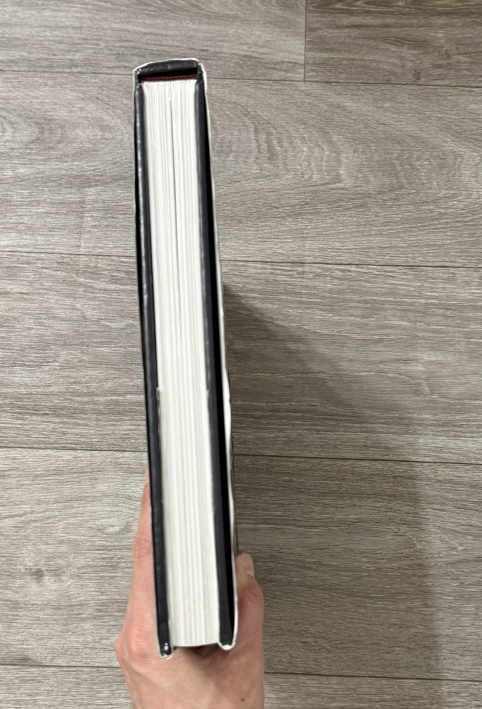 The Rolling Stones In The Beginning Bent Rej Hardback Book