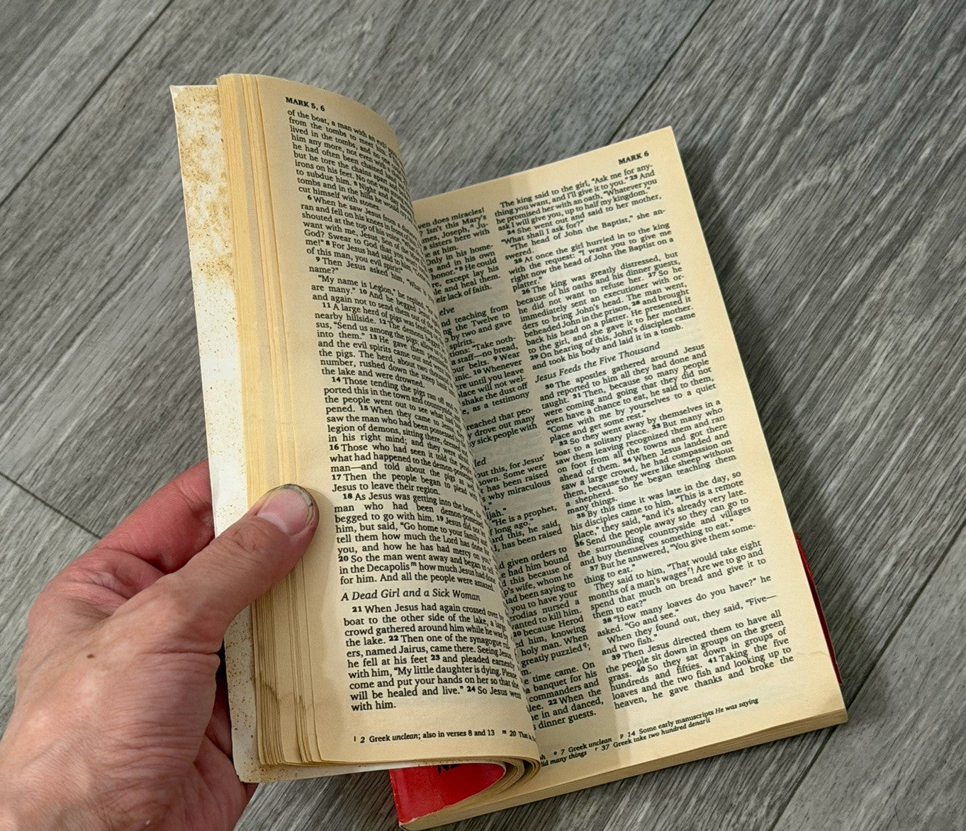 The Great News the New Testament NIV Paperback Book