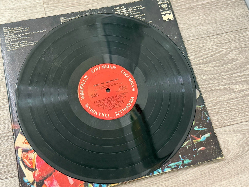 The Best Of Mountain Featuring Leslie West & Felix Pappalardi Vinyl