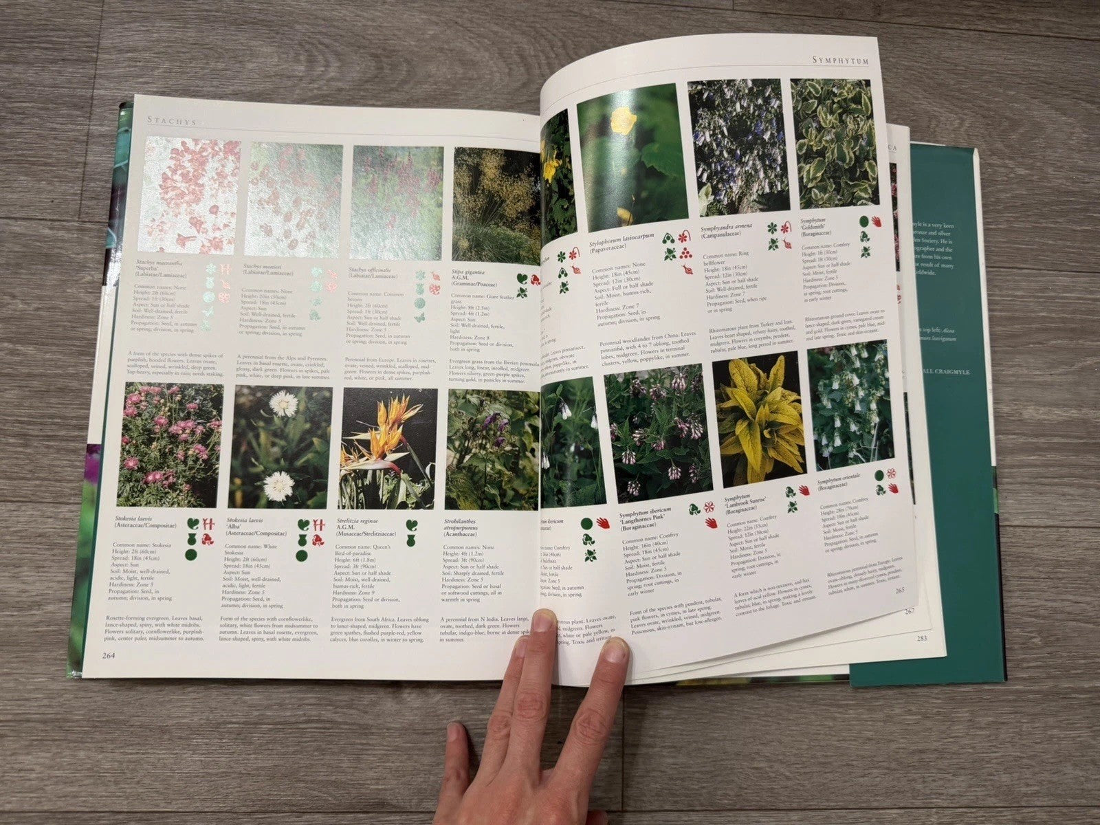 The Illustrated Encyclopedia of Perennials, By Marshall Craigmyle, HB 