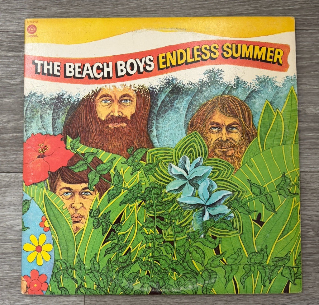 The Beach Boys Endless Summer 2 LP Vinyl Record 1974 RCA Music club Edition