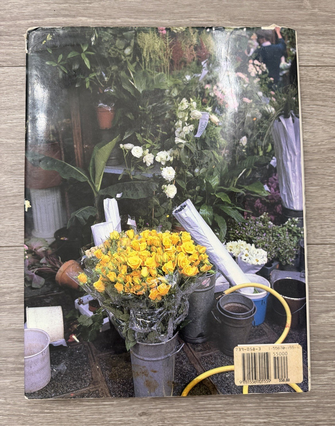 Gardening. Book, The Glory of Roses by christopher baker and allen lacy