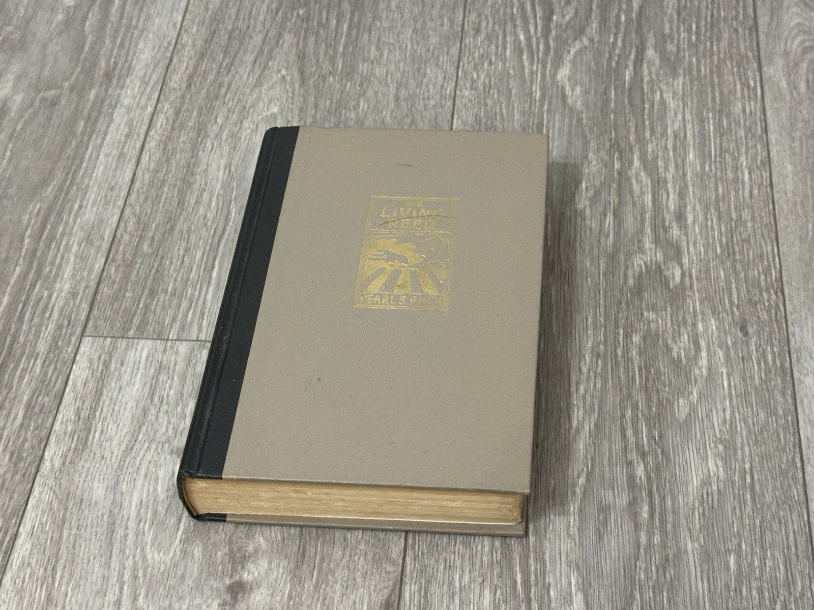 The Living Reed  by Pearl Buck, Hardcover, John Day publisher, 1963  