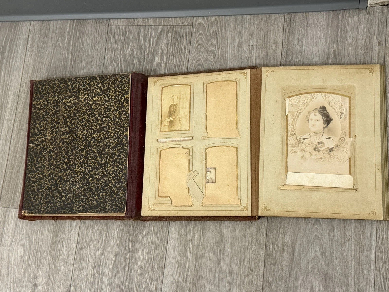 Antique Velvet Victorian Family Photo Album W/ Cabinet - Cards - Clasp - 1880’s