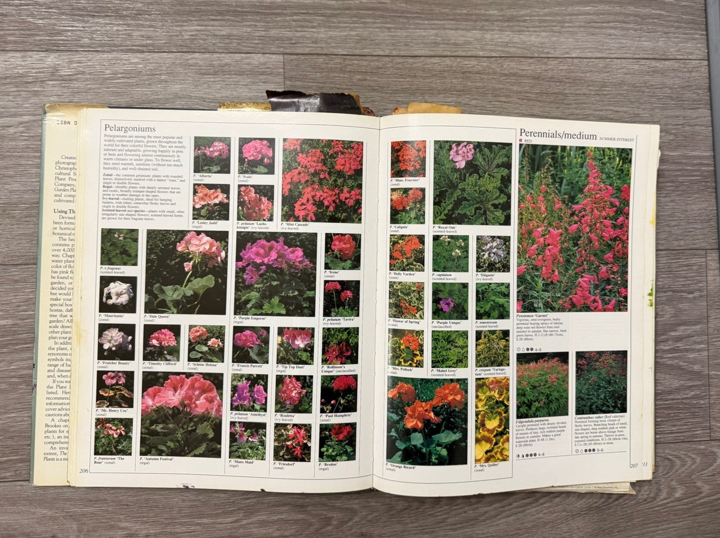 American Horticultural Society Encyclopedia 1989 Hardcover Dust Jacket Vintage