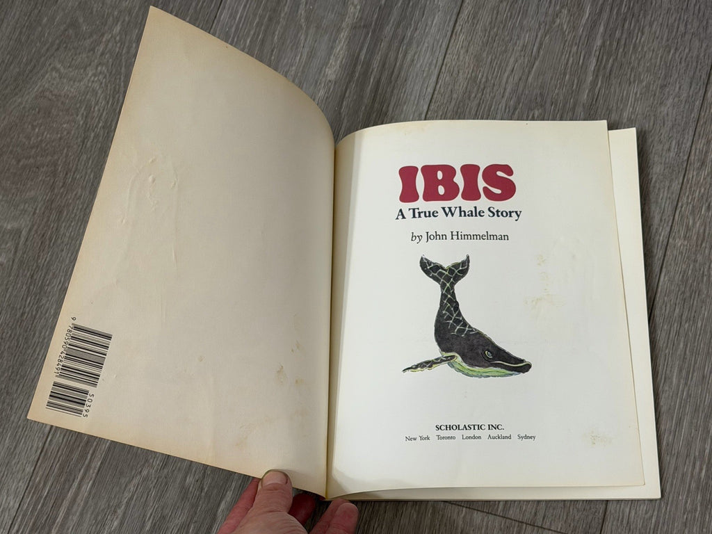 Ibis: A True Whale Story by Himmelman, John 0590428497 Paperback Book 1990 VTG