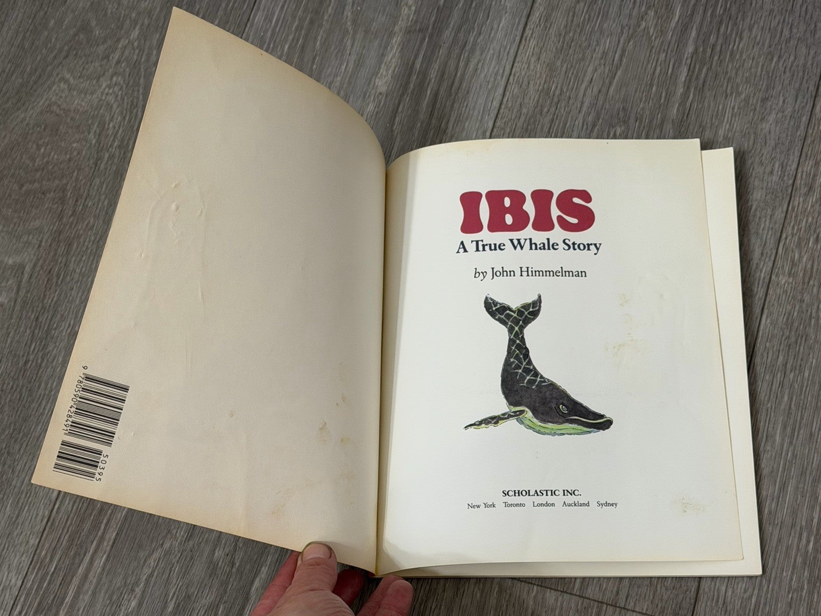 Ibis: A True Whale Story by Himmelman, John 0590428497 Paperback Book 1990 VTG