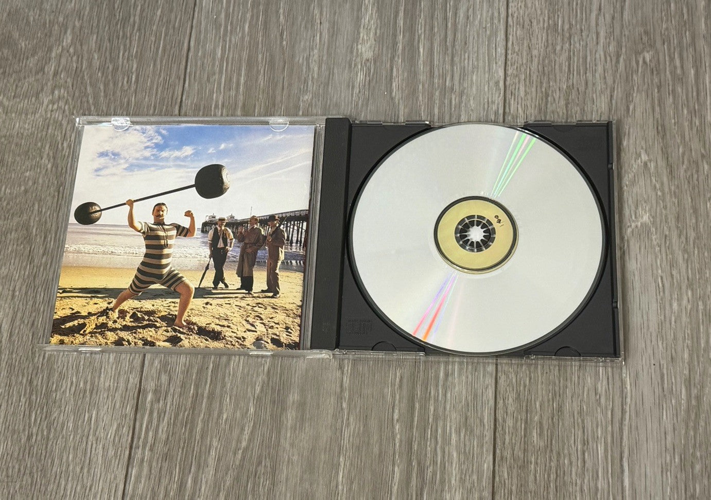 Phish – Hoist CD Jam Band Alternative Rock Classic