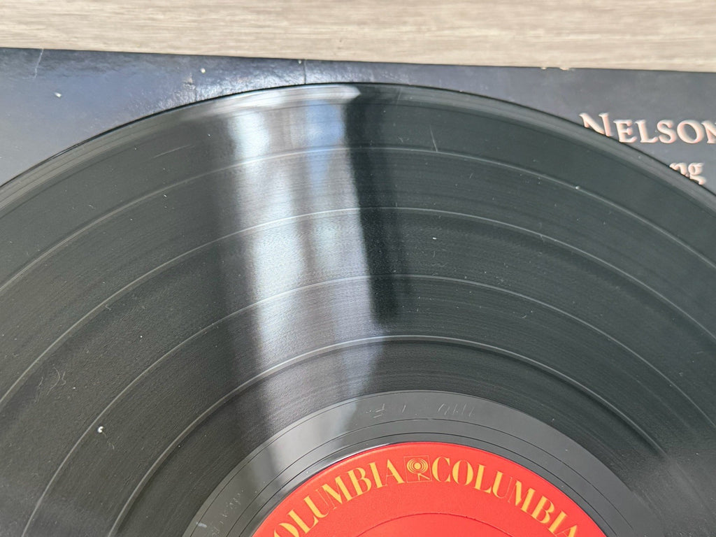 Willie Nelson “Without A Song Album “ Excellent Condition