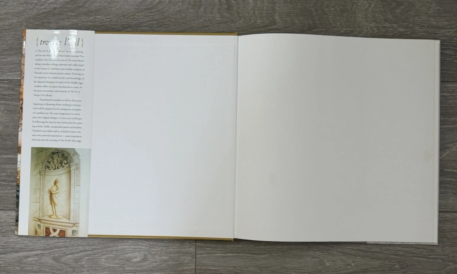The Art Of Trompe L’oeil Murals By Yves Lanthier First Edition