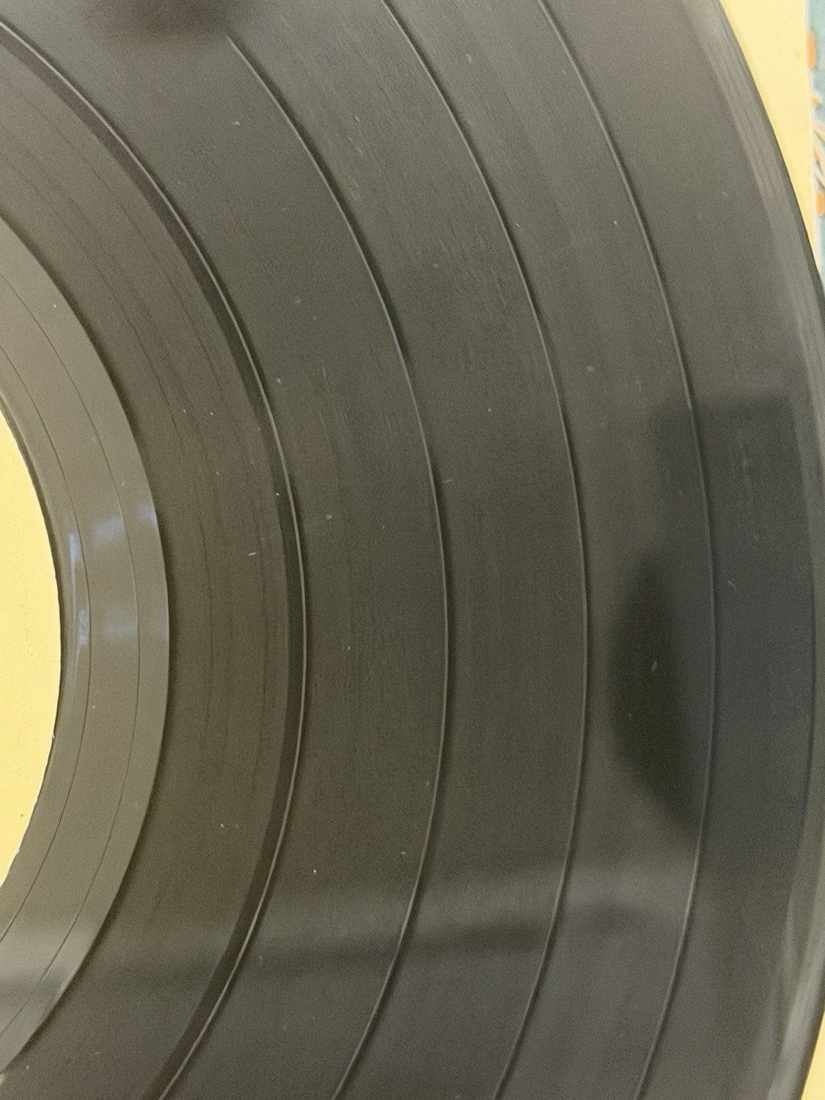 The Gregg Allman Band-Playin' Up A Storm-1977 CP 0181 (Winchester) Vinyl Record 