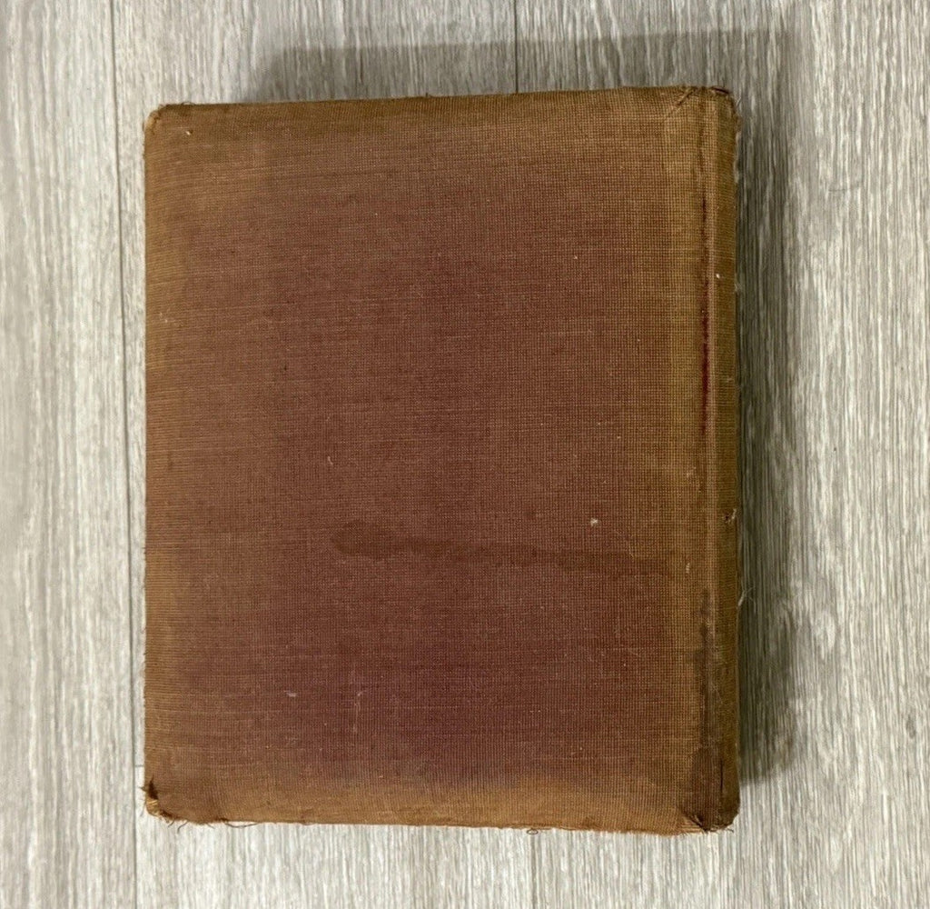 Antique Velvet Victorian Family Photo Album W/ Cabinet - Cards - Clasp - 1880’s