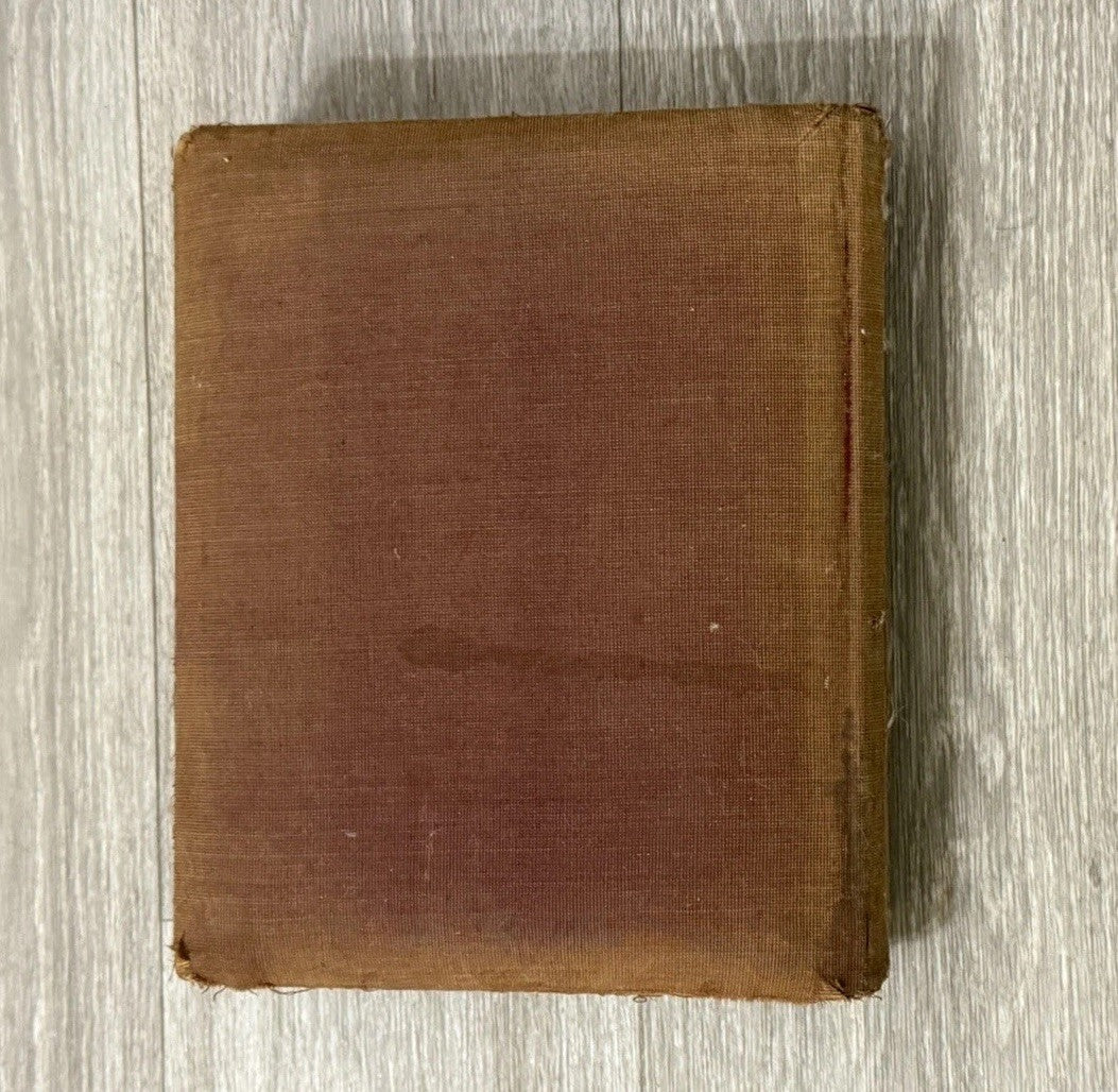 Antique Velvet Victorian Family Photo Album W/ Cabinet - Cards - Clasp - 1880’s