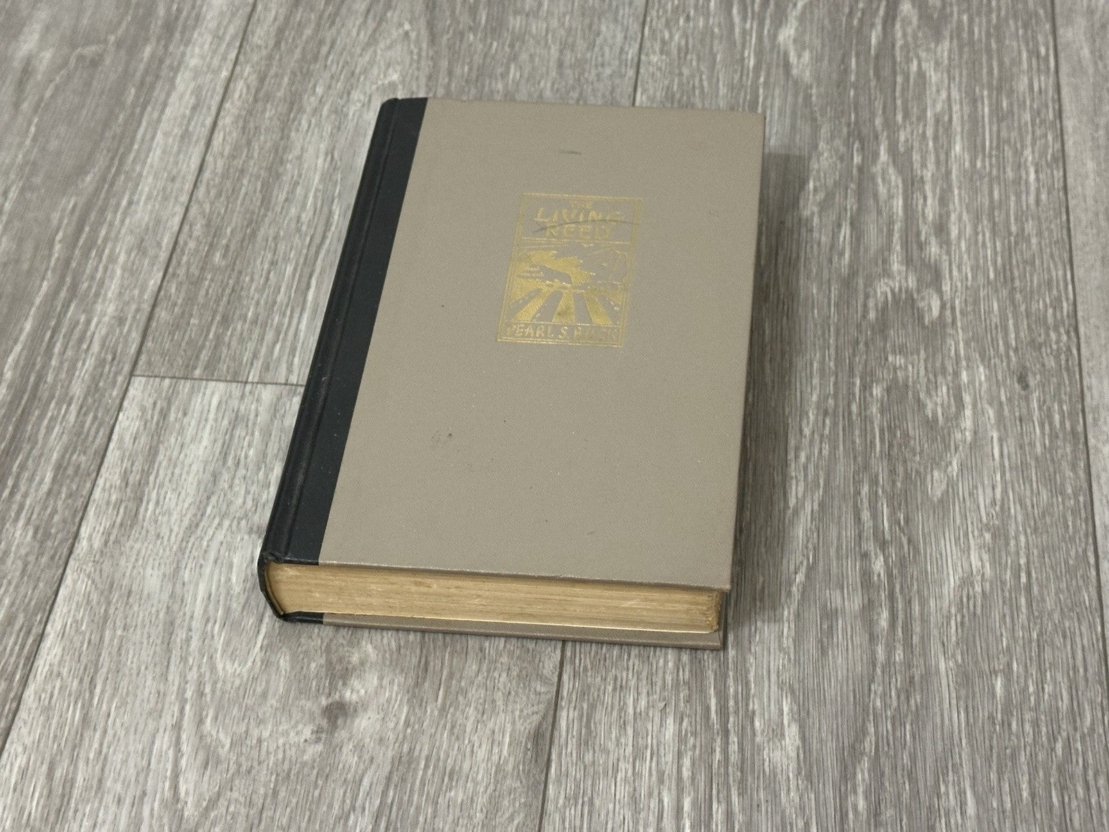 The Living Reed  by Pearl Buck, Hardcover, John Day publisher, 1963  