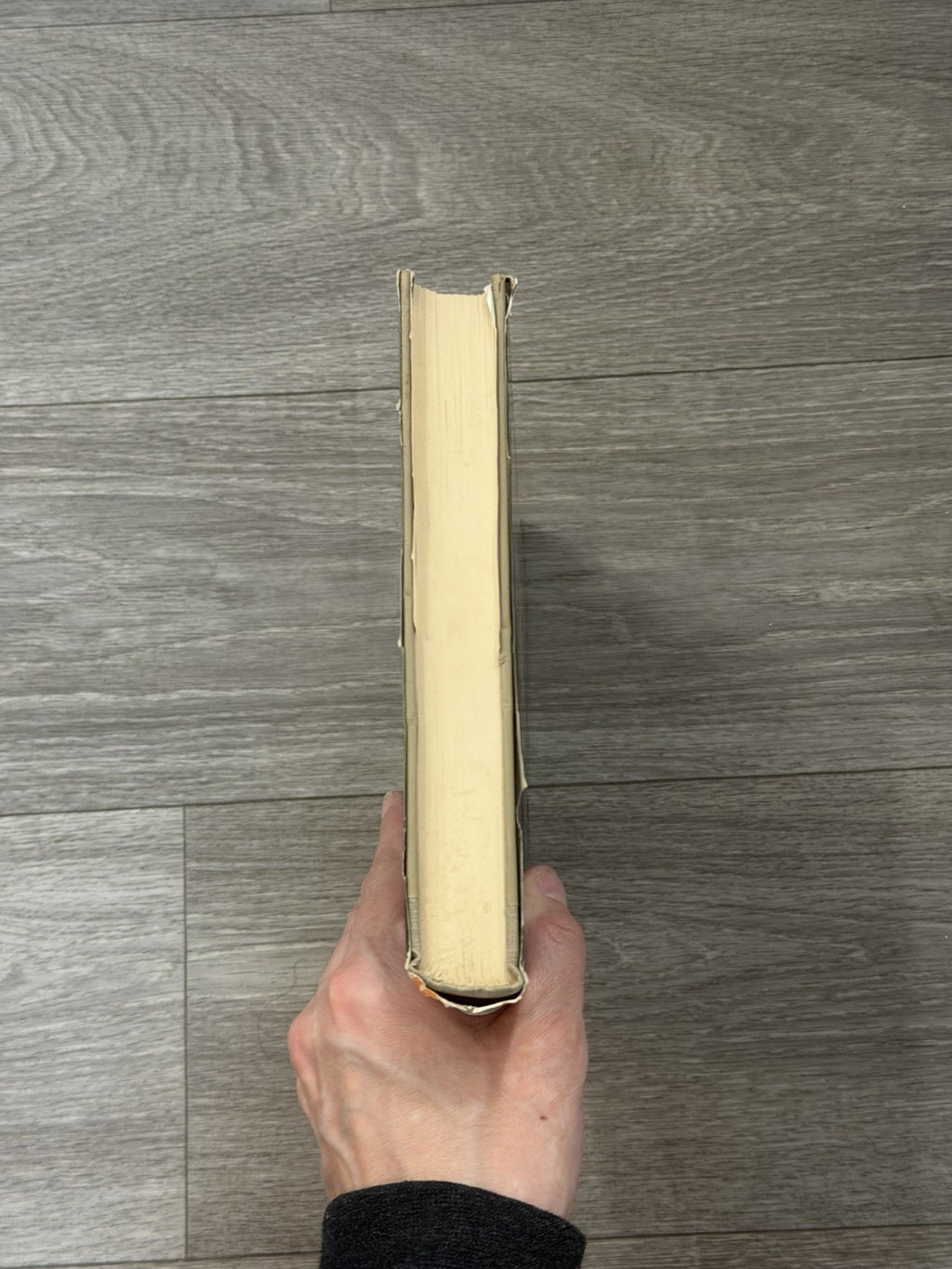 Sculpture, Inside and Out, by Malvina Hoffman, 1st, HBDJ, 1939, Illustrated VTG