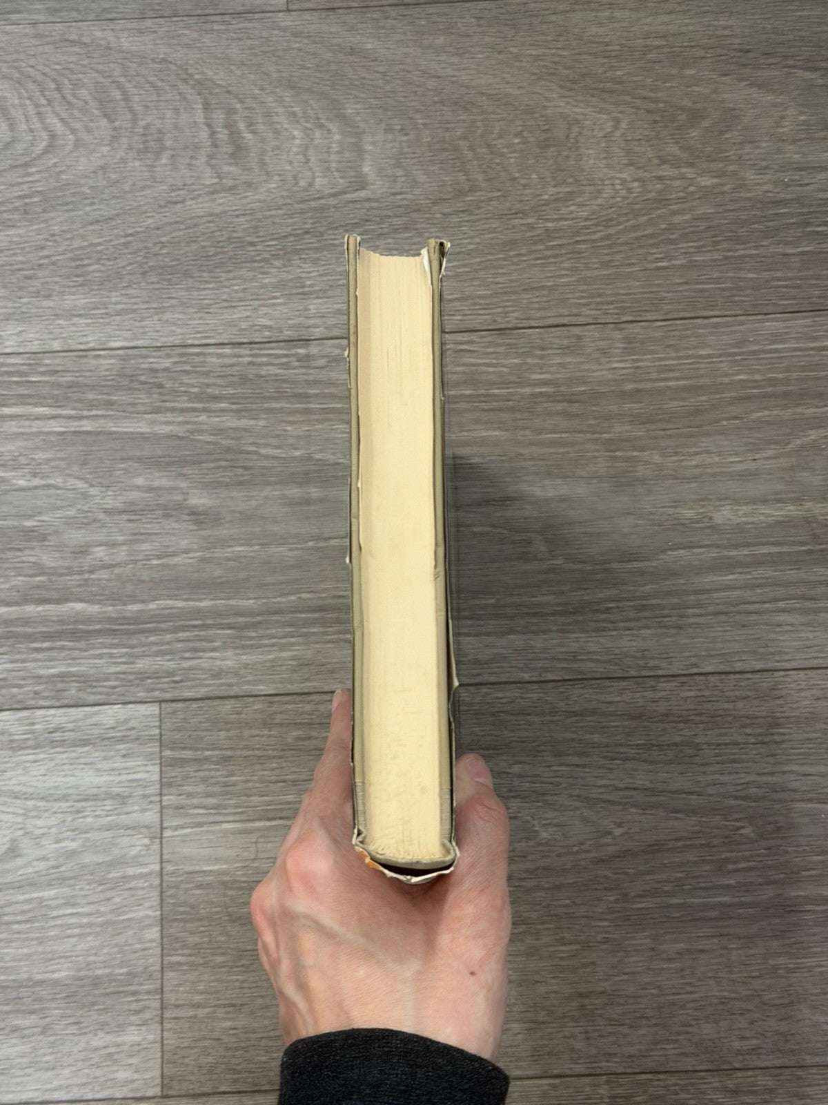 Sculpture, Inside and Out, by Malvina Hoffman, 1st, HBDJ, 1939, Illustrated VTG