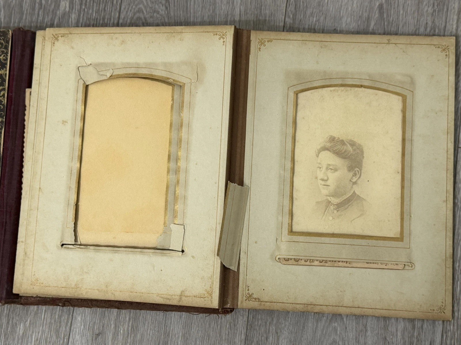 Antique Velvet Victorian Family Photo Album W/ Cabinet - Cards - Clasp - 1880’s