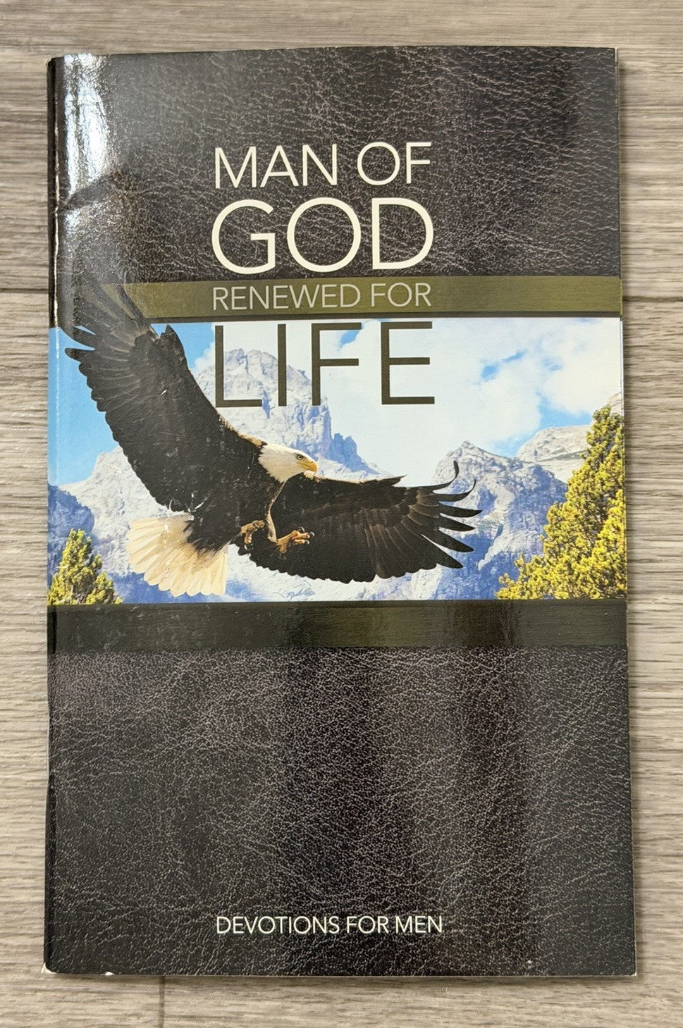 Man of God Renewed for Life: Devotions for Men Christianity
