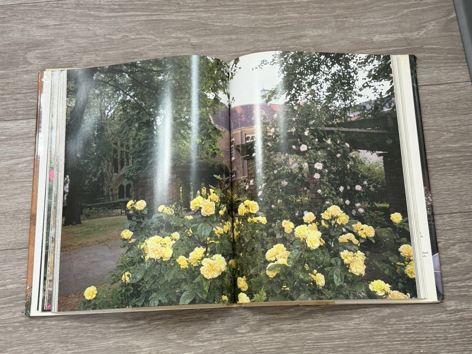 Gardening. Book, The Glory of Roses by christopher baker and allen lacy