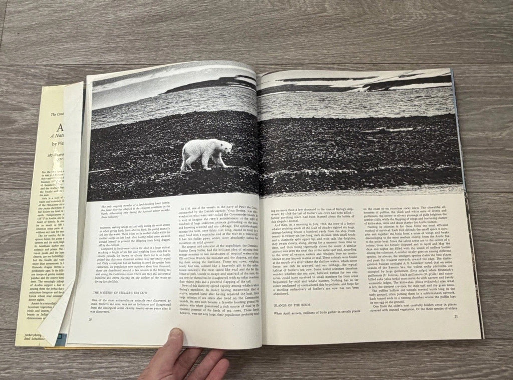 Asia: A Natural History by Pierre Pfeffer
