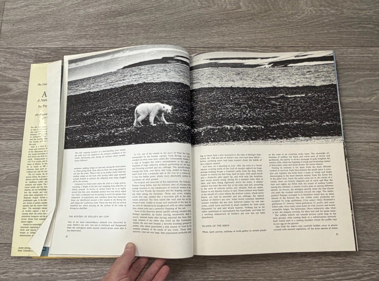 Asia: A Natural History by Pierre Pfeffer