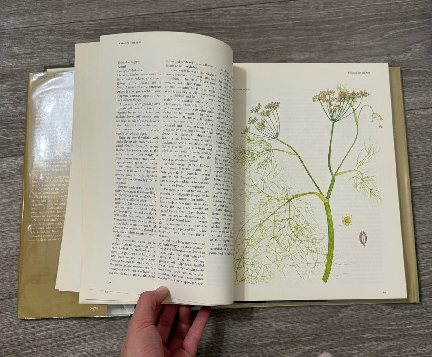 Complete Book of Herbs and Spices Sarah Garland 1979 HCDJ VINTAGE