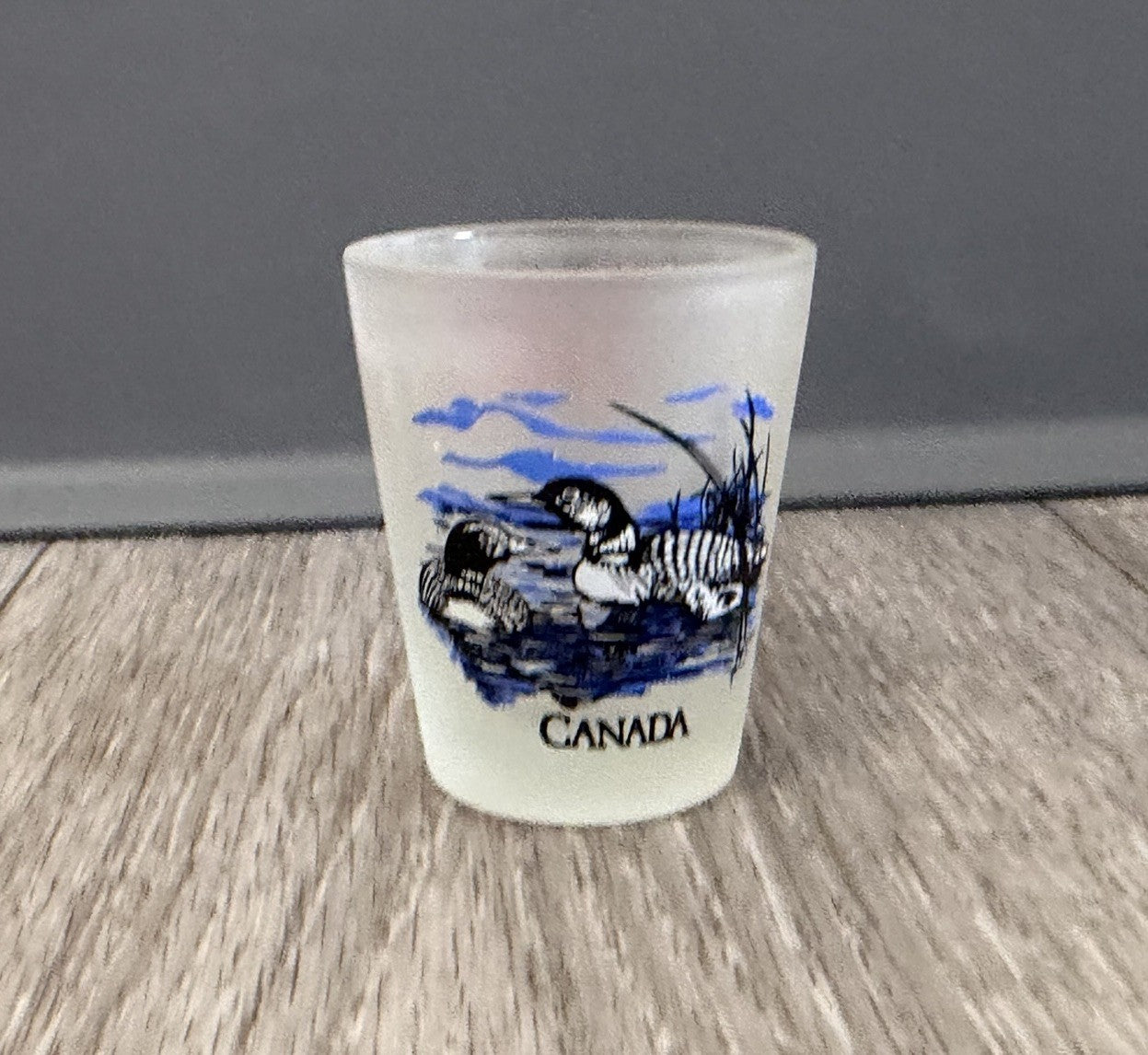 Mississuaga Ontario Canada Frosted Ducks Shot Glass