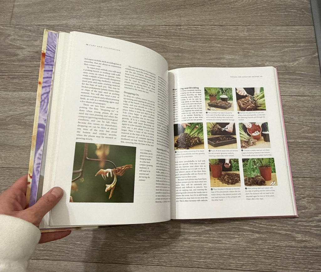 Growing Orchids, Brian & Wilma Rittershausen, Beautiful Softcover