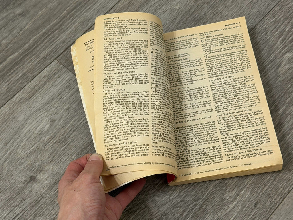 The Great News the New Testament NIV Paperback Book